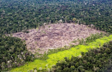 Le Brésil doit prouver à son principal donateur que la protection de l’Amazonie fonctionne