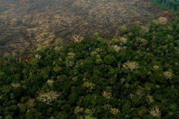 Protéger 30% de la planète pour sauver la nature n’est pas aussi simple qu’il y paraît