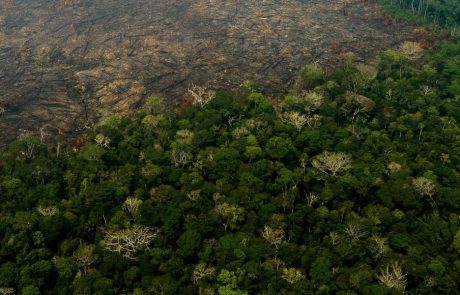 Protéger 30% de la planète pour sauver la nature n’est pas aussi simple qu’il y paraît
