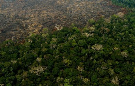 Protéger 30% de la planète pour sauver la nature n’est pas aussi simple qu’il y paraît