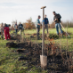 Les projets de reboisement participatif : un moyen efficace de restaurer la biodiversité