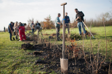Les projets de reboisement participatif : un moyen efficace de restaurer la biodiversité