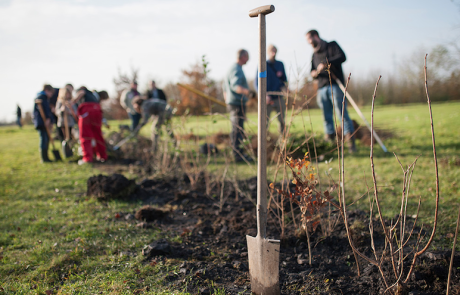 Les projets de reboisement participatif : un moyen efficace de restaurer la biodiversité