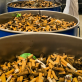 Les mégots de cigarettes : une législation entrée en vigueur le 1er juillet 2025
