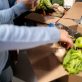 Déchets alimentaires : des innovations pour les surplus
