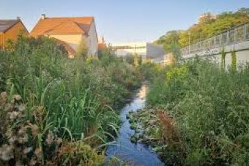 Les villes redécouvrent les rivières enterrées