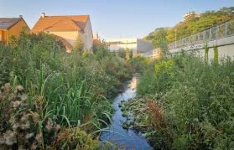 Les villes redécouvrent les rivières enterrées