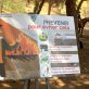 Les réserves naturelles et leur rôle dans la lutte contre les incendies de forêt