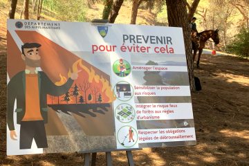 Les réserves naturelles et leur rôle dans la lutte contre les incendies de forêt