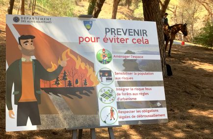 Les réserves naturelles et leur rôle dans la lutte contre les incendies de forêt