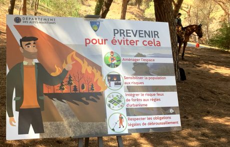 Les réserves naturelles et leur rôle dans la lutte contre les incendies de forêt
