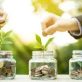 L’intégration du climat dans les décisions d’investissement : quand les entreprises revoient leurs arbitrages financiers