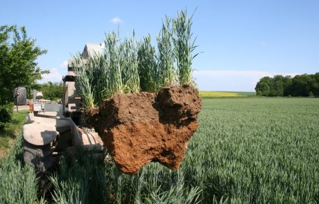 Les sols agricoles montrent les signes d’une fatigue chimique durable