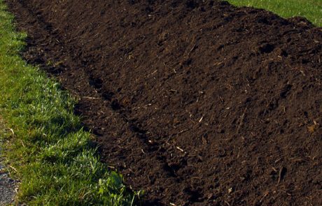 Le stockage de carbone dans les sols agricoles est difficilement mesurable