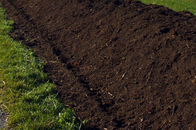 Le stockage de carbone dans les sols agricoles est difficilement mesurable