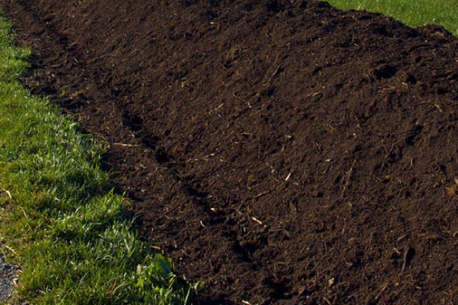 Le stockage de carbone dans les sols agricoles est difficilement mesurable