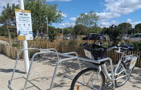 Les stations littorales réinventent le tourisme face à l’urgence climatique