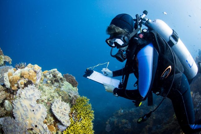 Un scientifique indonésien travaille avec les braconniers pour restaurer les récifs coralliens