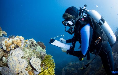 Un scientifique indonésien travaille avec les braconniers pour restaurer les récifs coralliens