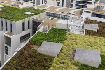 Végétaliser les toits pour lutter contre la chaleur urbaine