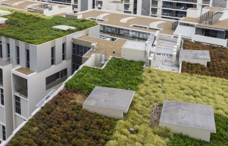 Végétaliser les toits pour lutter contre la chaleur urbaine