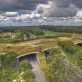 Quand les routes deviennent des refuges pour la biodiversité