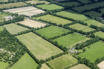 Face au climat, les haies reprennent racine