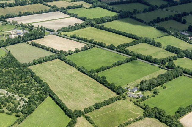 Face au climat, les haies reprennent racine