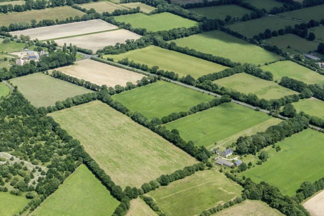 Face au climat, les haies reprennent racine