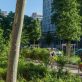 Canicules en ville : quelles solutions pour s’adapter aux vagues de chaleur ?