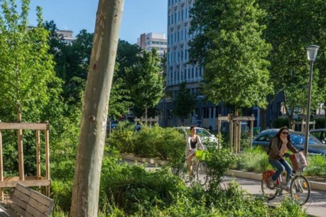 Canicules en ville : quelles solutions pour s’adapter aux vagues de chaleur ?