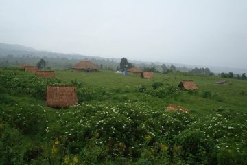 Le plus vieux parc d’Afrique rouvre ses portes au public