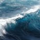 Traité sur la haute mer : un tournant pour la protection des océans