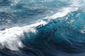 Traité sur la haute mer : un tournant pour la protection des océans