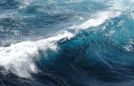 Traité sur la haute mer : un tournant pour la protection des océans