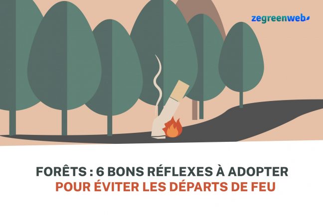[Infographie] Forêts : 6 bons réflexes à adopter pour éviter les départs de feu