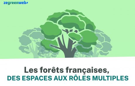 [Infographie] Les forêts françaises, des espaces aux rôles multiples