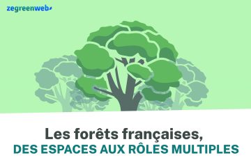 [Infographie] Les forêts françaises, des espaces aux rôles multiples