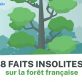 [Infographie] 8 faits insolites sur la forêt française