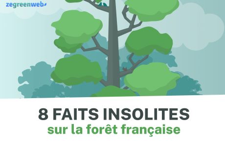 [Infographie] 8 faits insolites sur la forêt française