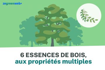 [Infographie] 6 essences de bois aux propriétés multiples