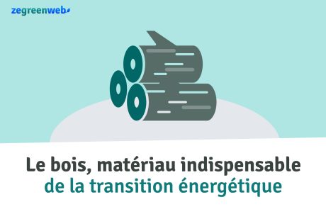 [Infographie] Le bois, matériau indispensable de la transition énergétique