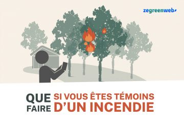 [Infographie] Que faire si vous êtes témoins d’un incendie ?