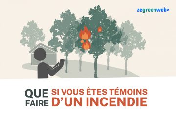 [Infographie] Que faire si vous êtes témoins d’un incendie ?