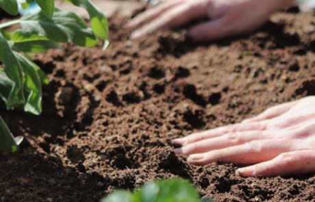 COP28 : l’effort des États-Unis et des Émirats arabes unis en faveur d’une agriculture respectueuse du climat atteint 17 milliards de dollars