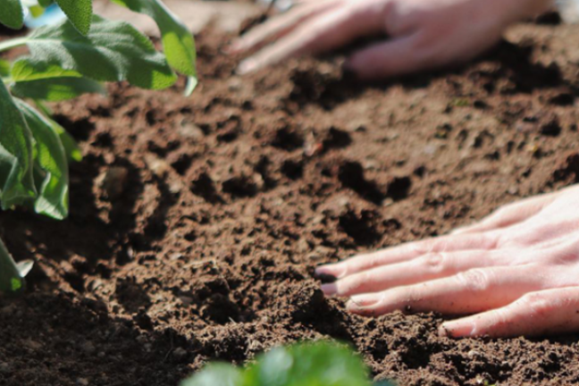 COP28 : l’effort des États-Unis et des Émirats arabes unis en faveur d’une agriculture respectueuse du climat atteint 17 milliards de dollars