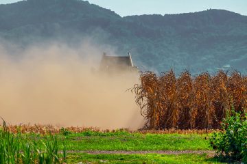 Sécheresse : le gouvernement lance des mesures d’aide aux agriculteurs