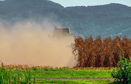 Sécheresse : le gouvernement lance des mesures d’aide aux agriculteurs