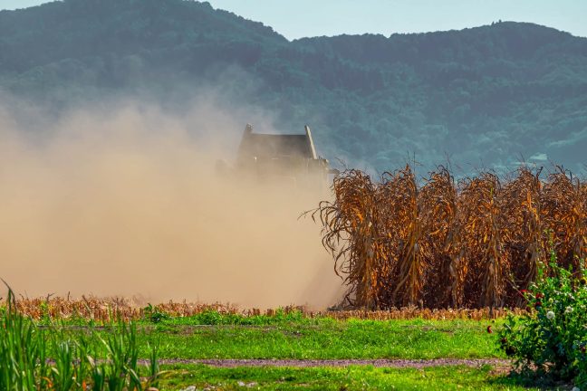 Sécheresse : le gouvernement lance des mesures d’aide aux agriculteurs