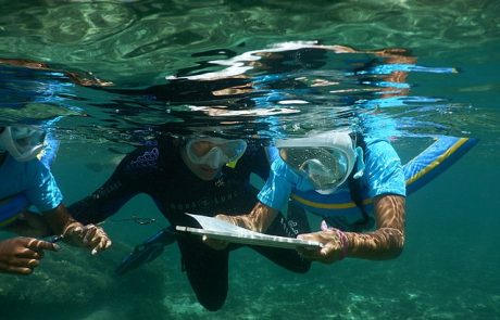 L’importance des aires marines protégées dans la préservation des écosystèmes aquatiques